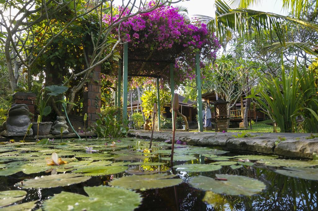 Puri Kelapa Garden Cottages Sanur  Exterior photo